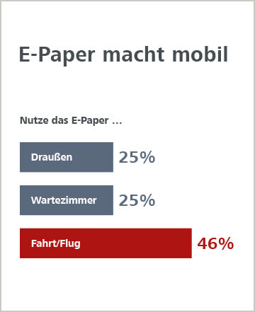 Digitaler Blätterwald, E-Paper-Portal